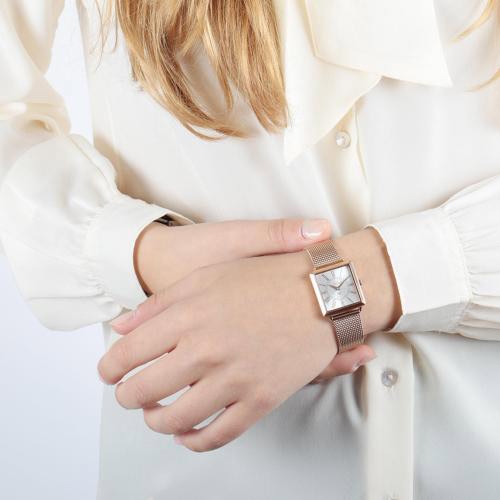 Trussardi T-princess 25mm 2h silver dial rg mesh