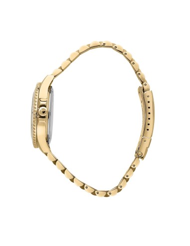 Sector 230 – Orologio Donna Acciaio Oro con...