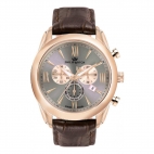 Philip Watch Seahorse chr 44mm gray dial brown strap uomo