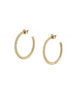 Morellato Creole earrings ss+ip gold