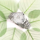 Sector 665 34mm 3h white dial br ss femminile R3253524504
