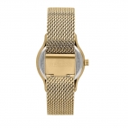 Sector 660 36mm 3h black dial mesh br yg femminile R3253517501