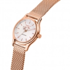 Sector 660 36mm 3h white dial mesh br rg