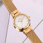 Morellato Shine 30mm 3h white dial mesh br yg femminile