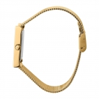 Trussardi T-Strict – Orologio Donna Oro con Quadrante Verde (R2453155003)