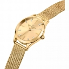 Orologio PHILIP WATCH donna Grace tempo acciaio dorato