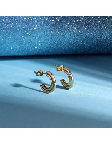 Orecchini MORELLATO donna Capsule argento 925...