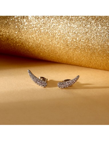 Orecchini Morellato Design Silver con Cristalli...