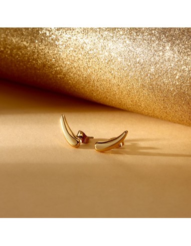 Orecchini Morellato Design Oro in Acciaio (SAYP11)