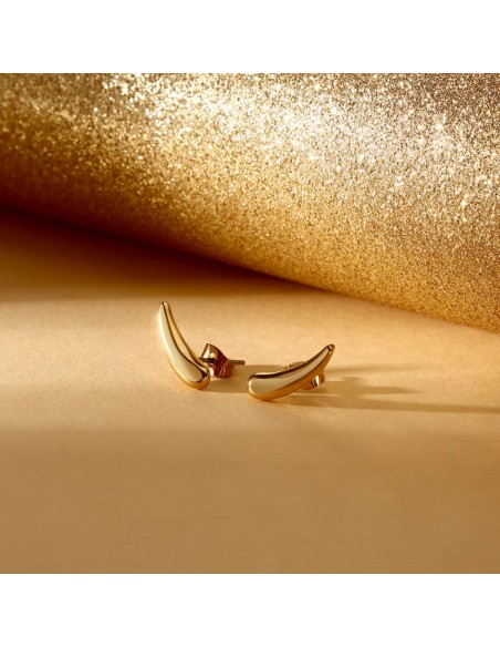 Orecchini Morellato Design Oro in Acciaio (SAYP11)