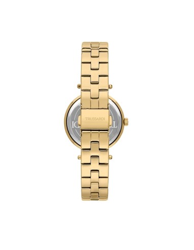 Trussardi T-shiny 34mm 2h wsilver dial br yg