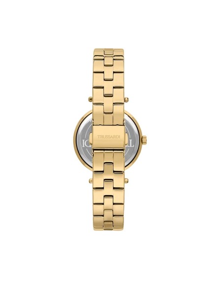 Trussardi T-shiny 34mm 2h wsilver dial br yg