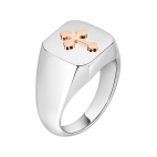 Anello Morellato God chevalier uomo uomo SANF21
